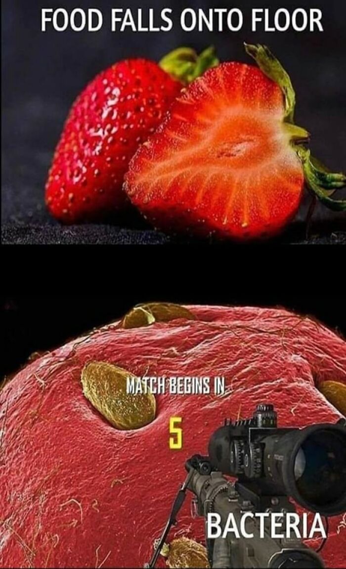 Funny-Nerdy-Geek-Memes