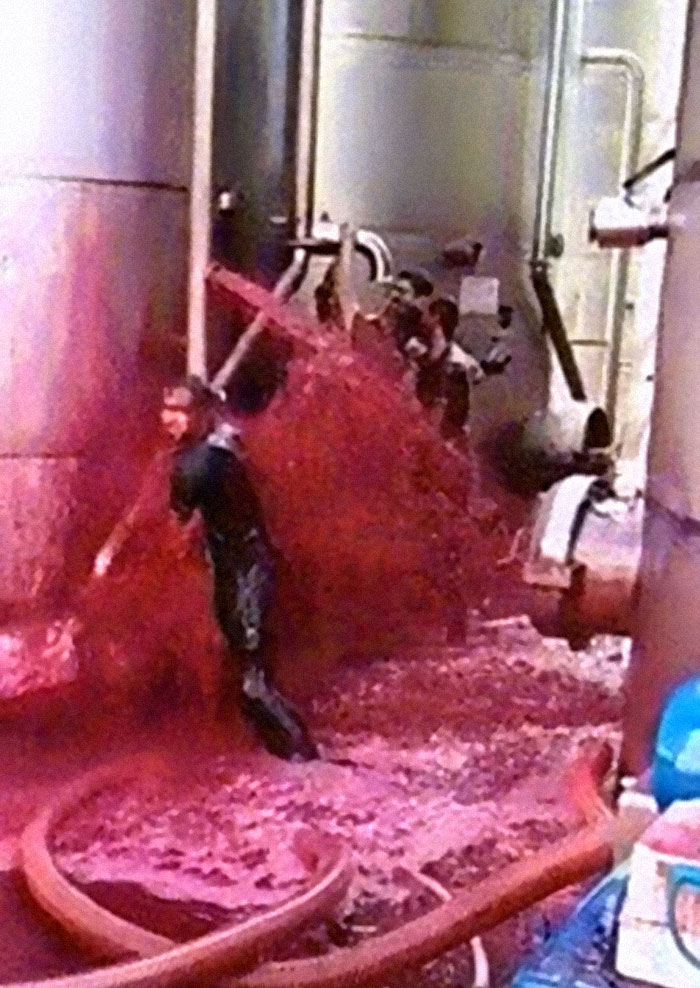 Red Wine Tragedy