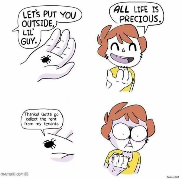 Someone Call The Police!