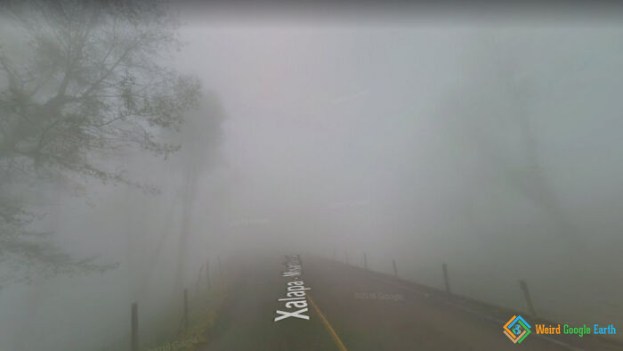 Foggy road scene captured on Google Maps with barely visible trees and road markings in an eerie atmosphere.