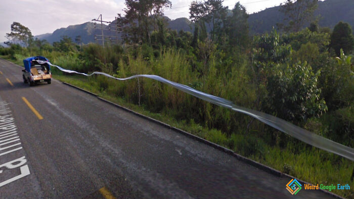 "Trailing Along". Location: Chiapas, Mexico