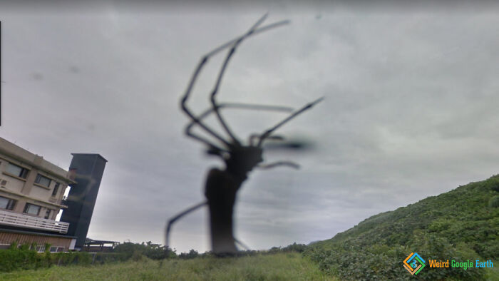Close-up of a large spider on camera lens creating an amusing and ridiculous moment captured by Google Maps outdoors.