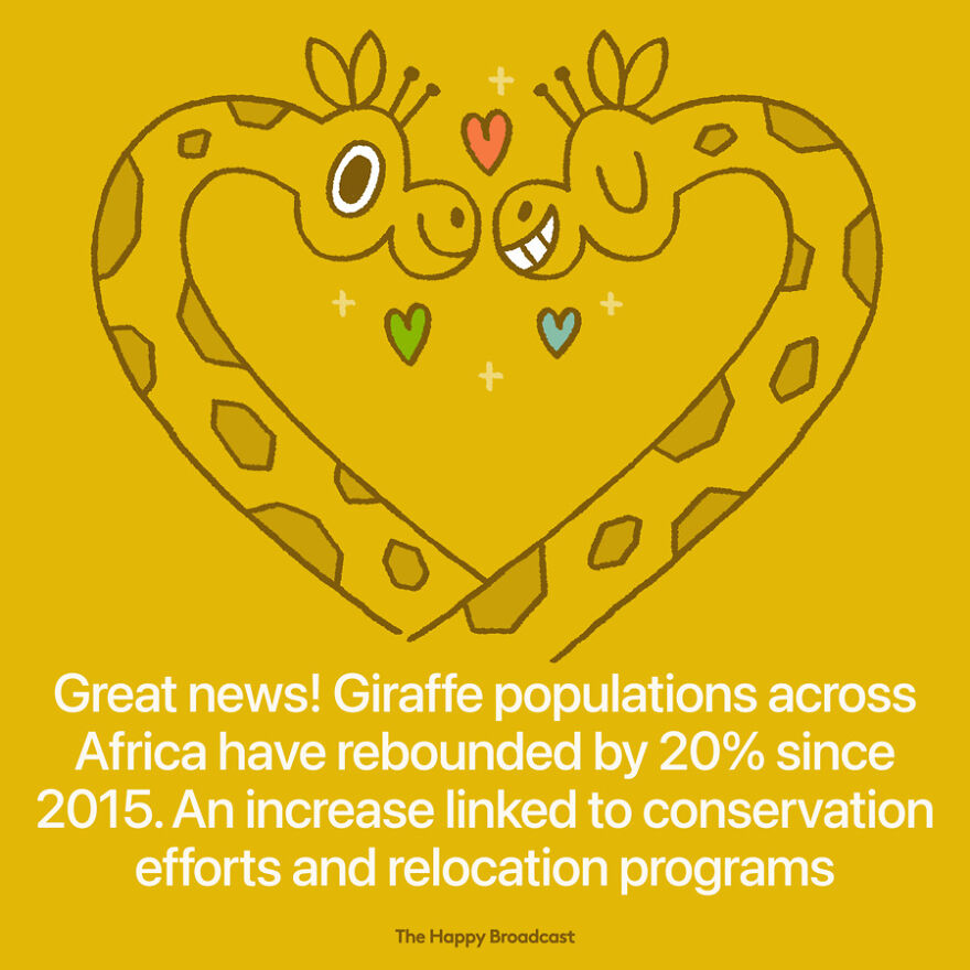 I’m Honestly Fed Up With All The Bad News, So I Illustrated 40 Of The Best Ones From 2022