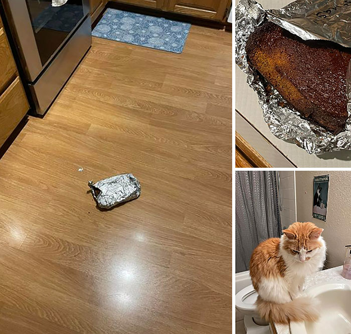 Baking Fail On My Part For Leaving It Out On The Counter