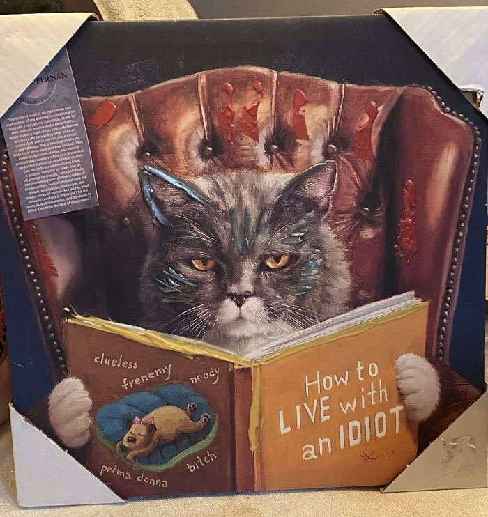 Somehow I Get The Impression That My Dad's Girlfriend Doesn't Like Me. Evidence Of A Christmas Gift