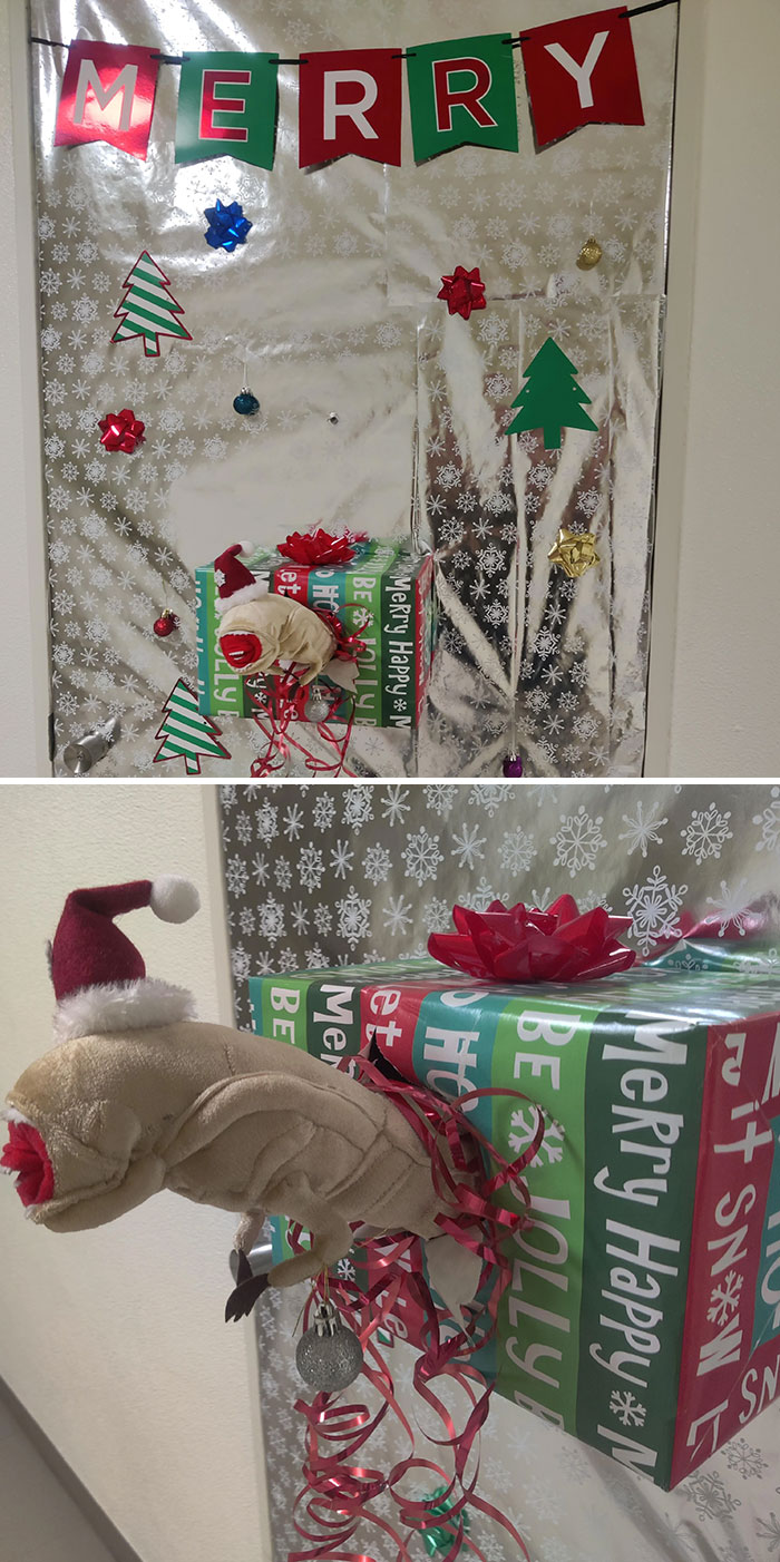 My Apartment Is Doing A Door Decorating Contest