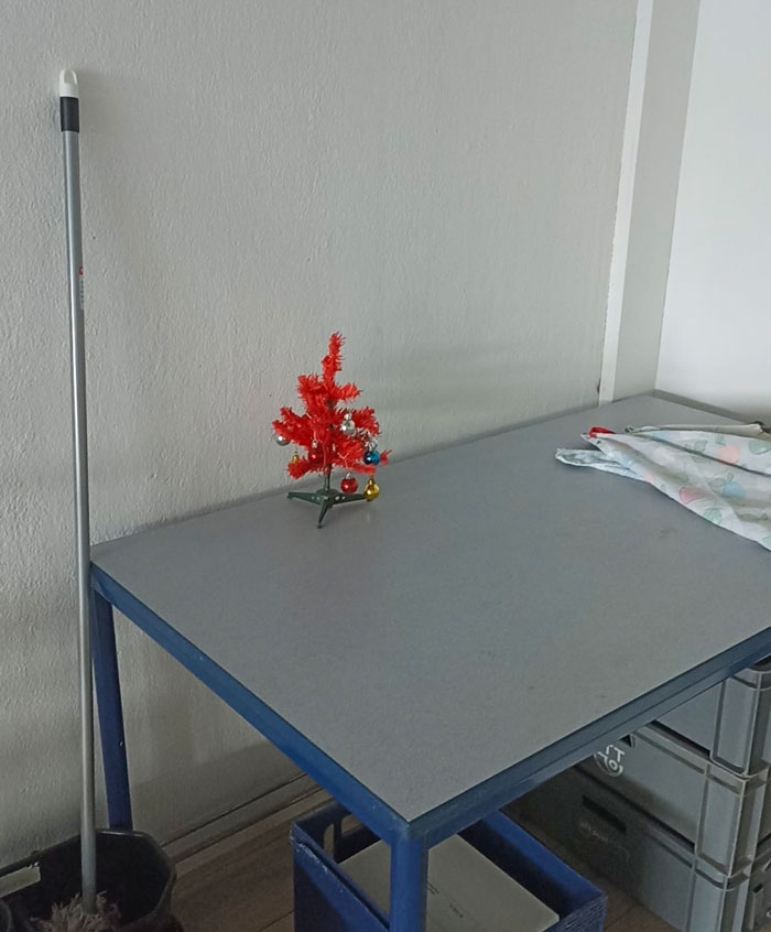 They Went A Bit Overboard With The Christmas Decorations At My Husband's Workplace