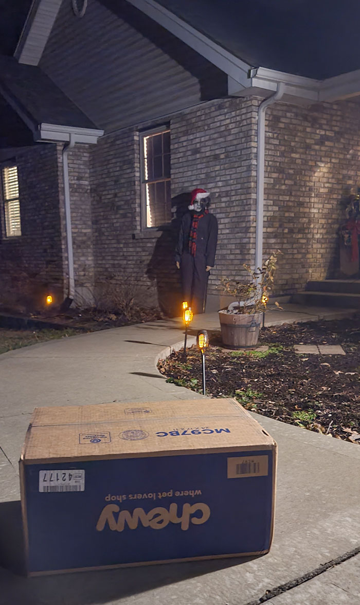 Christmas humor scene with a person in a Santa hat and scarf, standing outside a house at night with a pet box nearby.