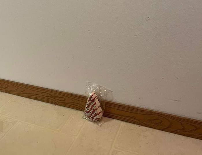 My Christmas Tree Is Up