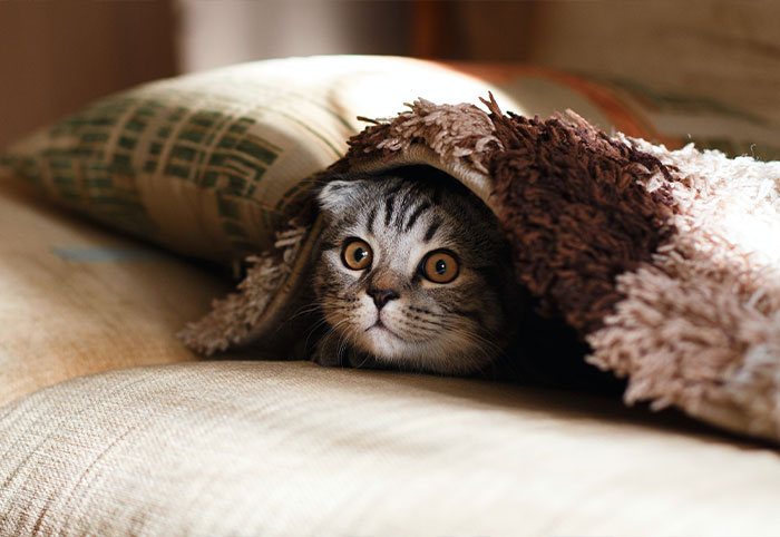 21 Identical Twins Reveal The Most Memorable Times They Switched Places And Fooled Everyone