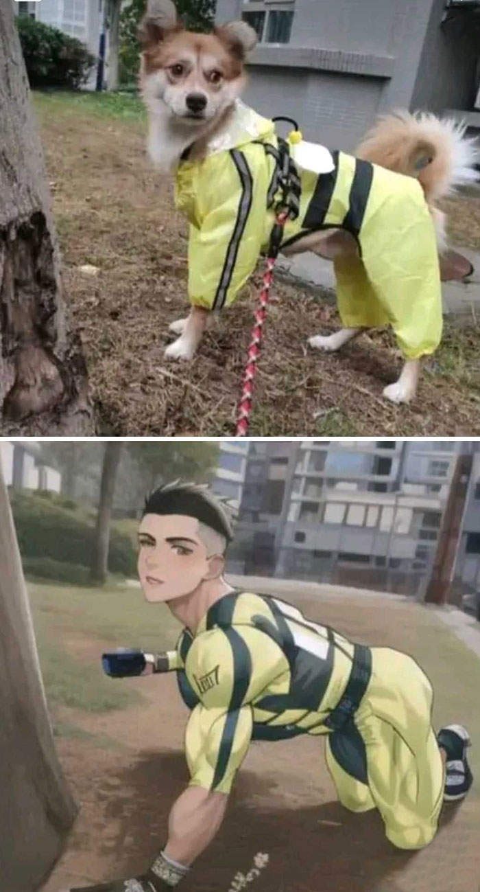 Illustration-Before-After-Ai-Fails