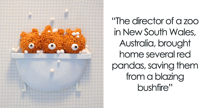 “A Year Of Good News”: My 30 Wholesome And Uplifting Illustrations