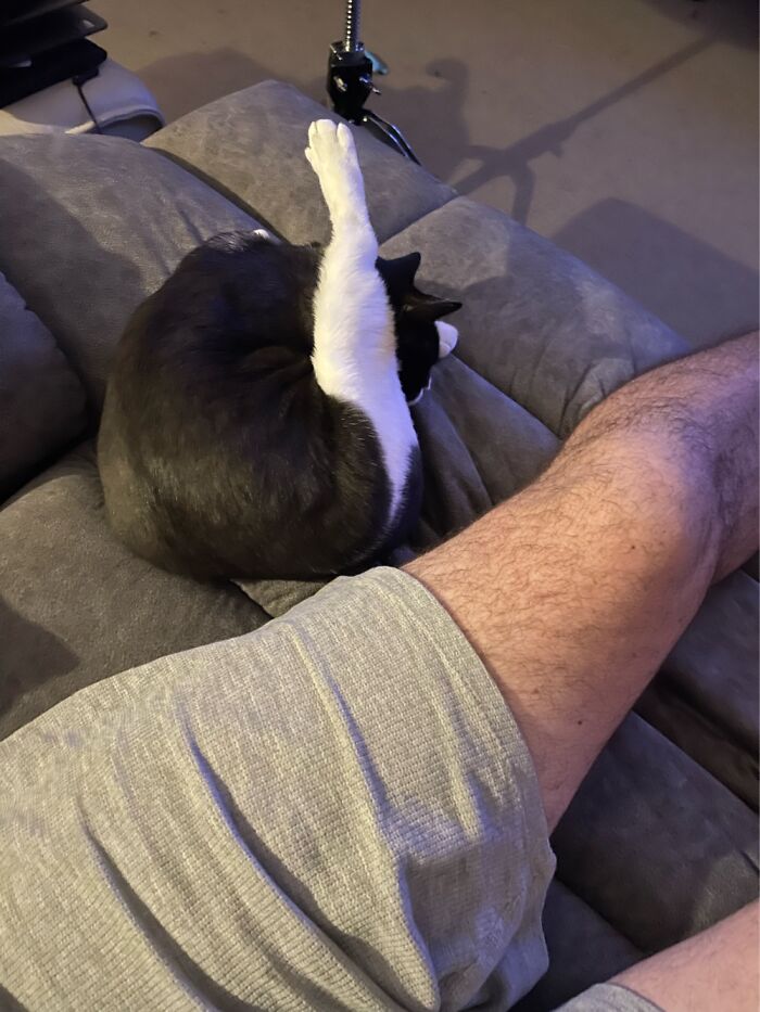 Nope Not Grooming Herself, Just An Amazing Ability To Sleep However, Wherever Whenever!