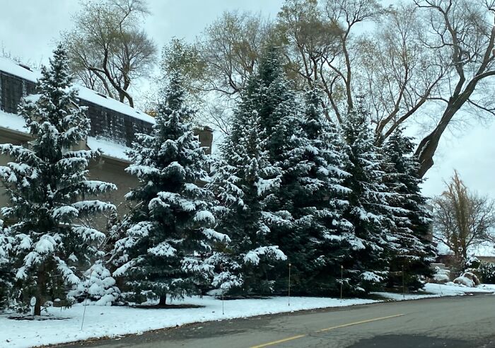 Photo From My Car. Toronto, Canada