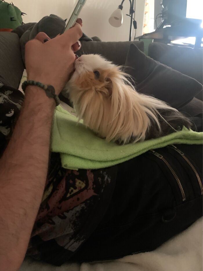 My Cute Fluffball Being Annoyed That My Best Friend Isn't Paying Attention To Her Xd