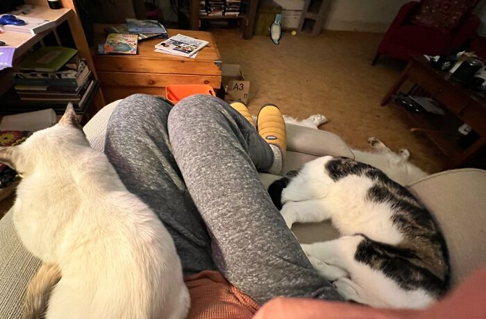 Clearly I Have To Wait For My Next Cup Of Coffee!