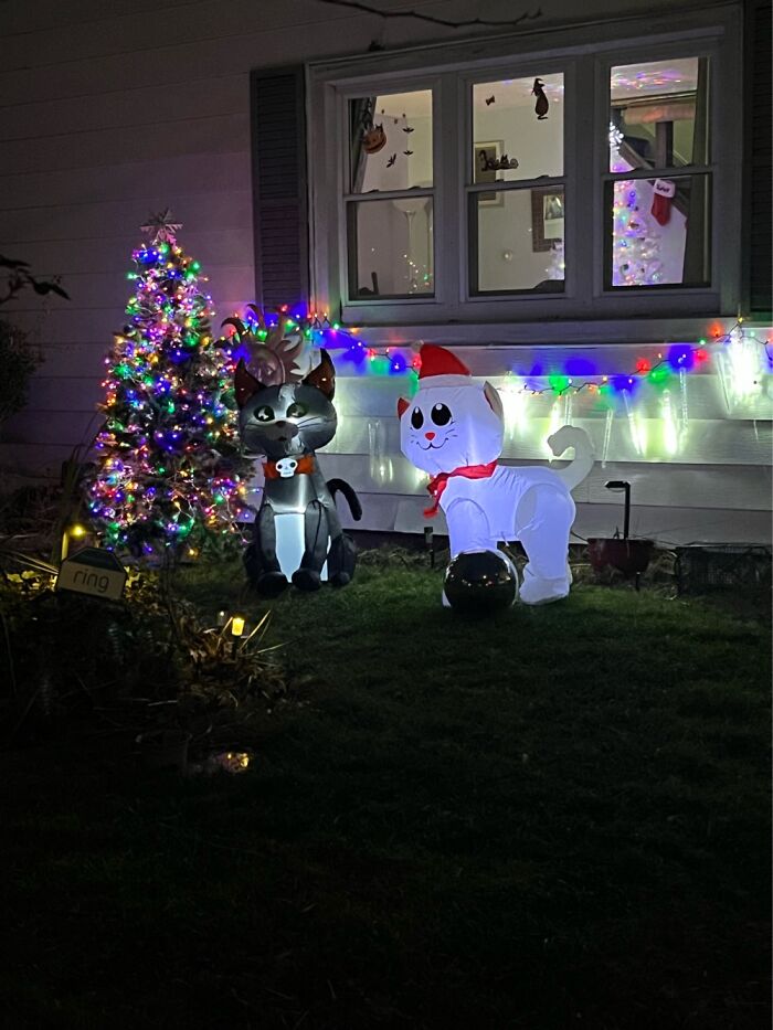 You Can See My New White And Holo Tree And Lighted Topper Inside And Old One In The Yard.!