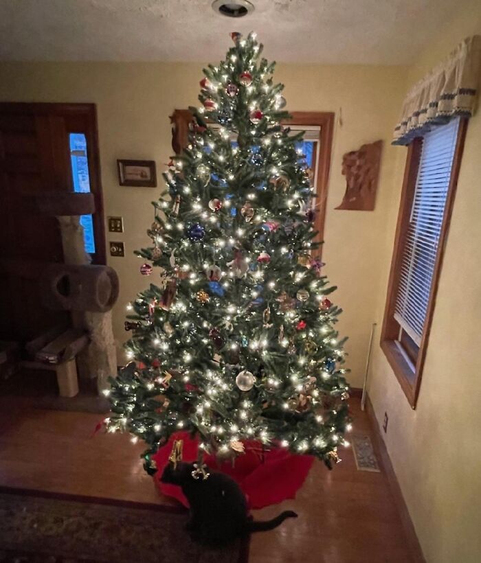 Our 1st Xmas Together Was 1981