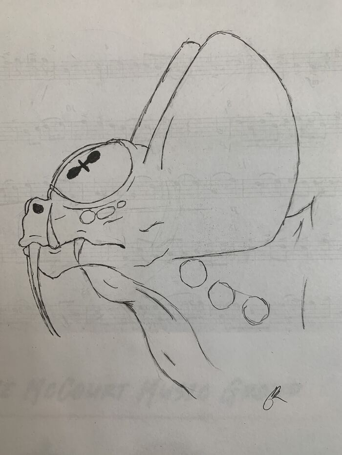 A Dragon Species I Came Up With, And I Still Haven’t Come Up With A Name For It Yet. If You Have A Suggestion Please Say It In The Comments!