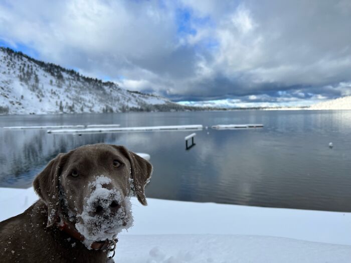 She Likes To Powder Her Nose