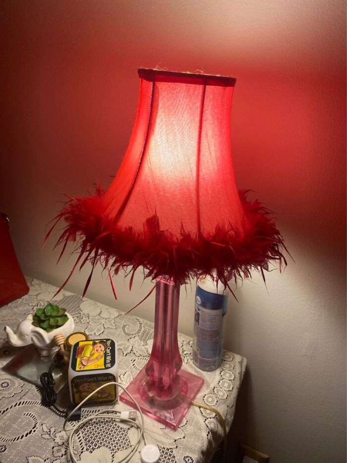 This Was Once A Beautiful Full Feather Boa