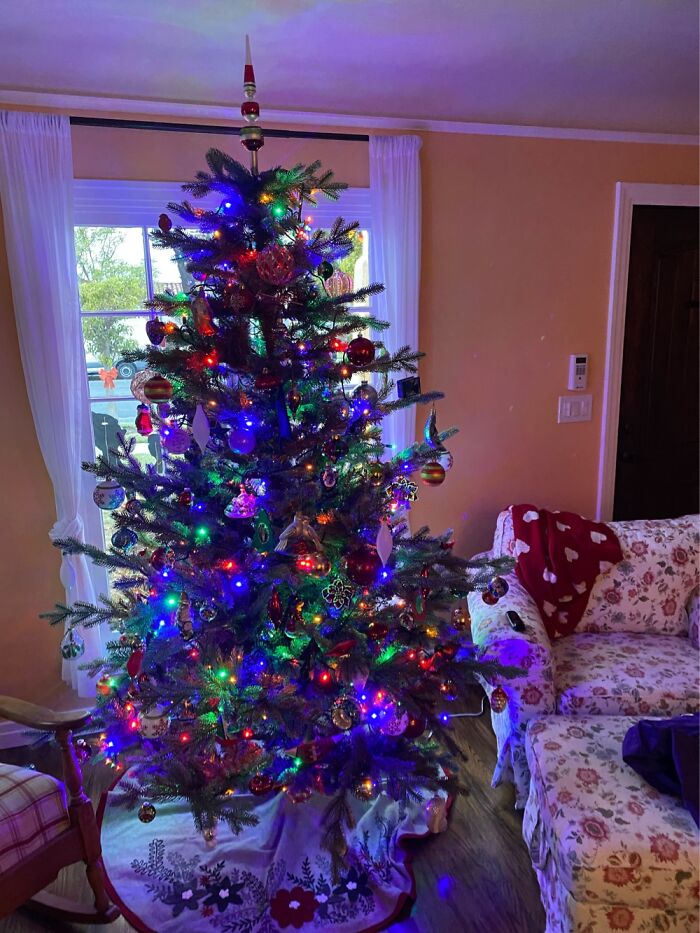 I Love Having A Tree In The Front Window, So The Neighbors Can See It Too