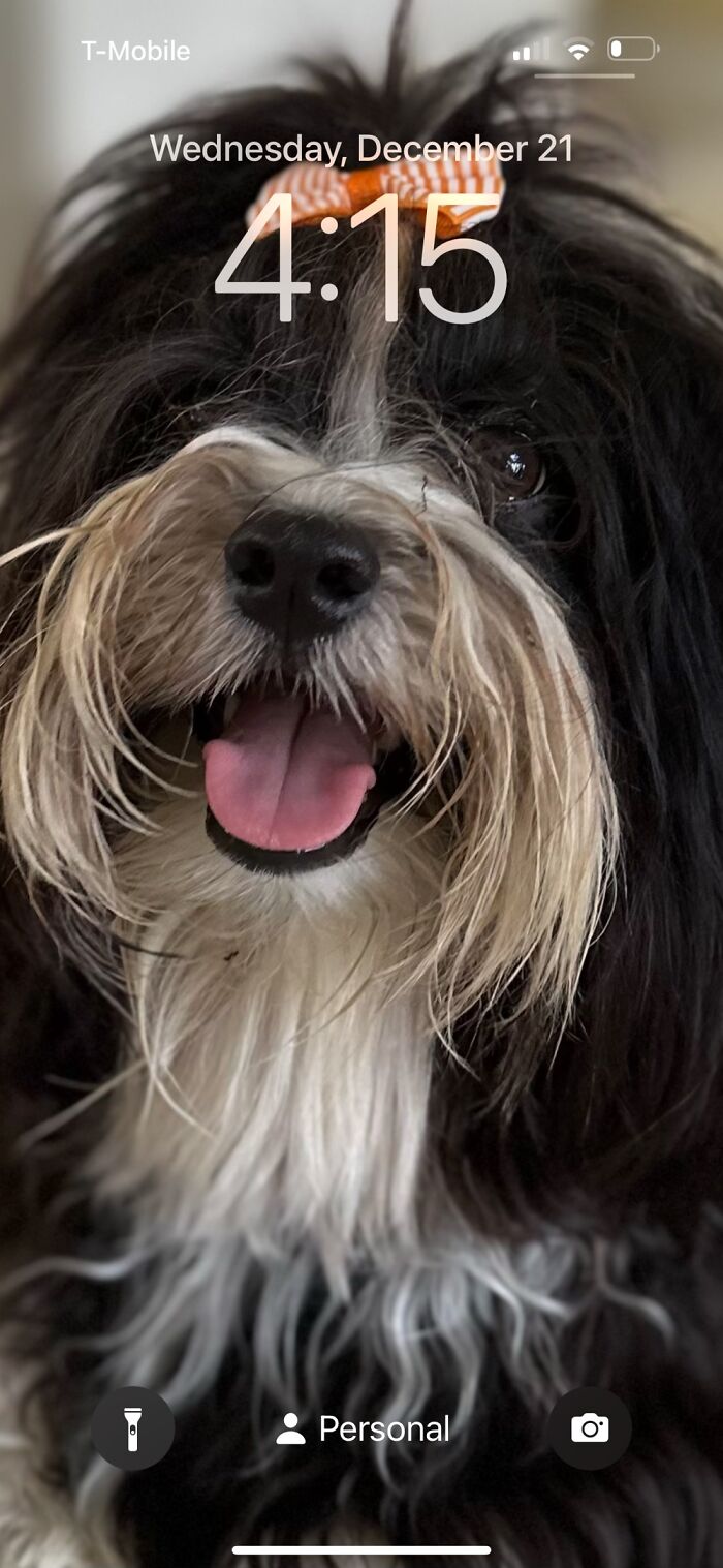 Brings Me Joy Every Time I See Him