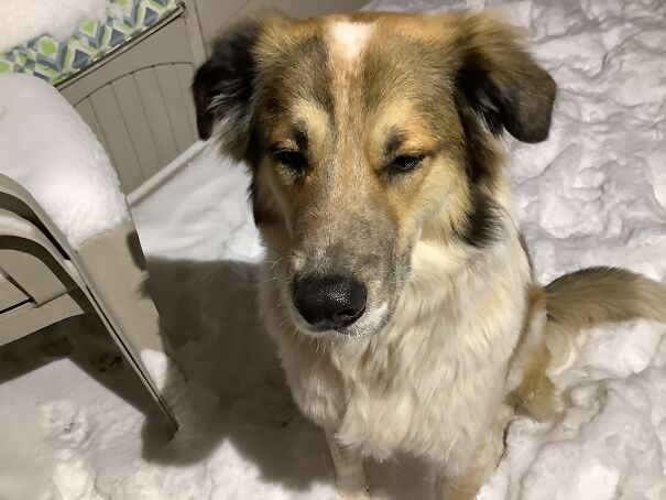 This Is My Crazy Nut