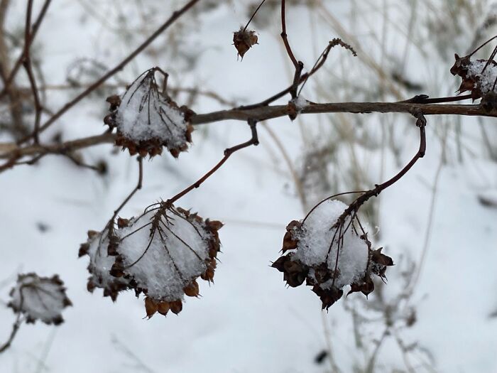 At Eglinton Flats Park. Toronto