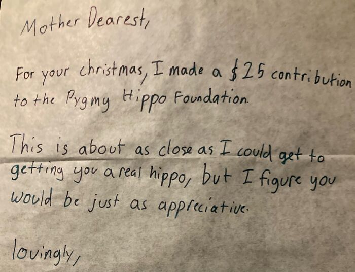 A Hippopotamus (Sorta)