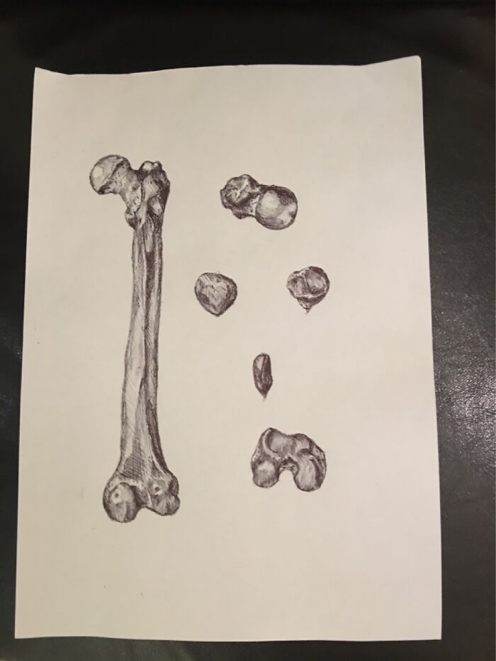 This Is My Artwork That I Never Really Showed Anyone Before