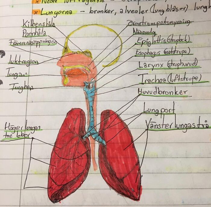 This Is My Artwork That I Never Really Showed Anyone Before