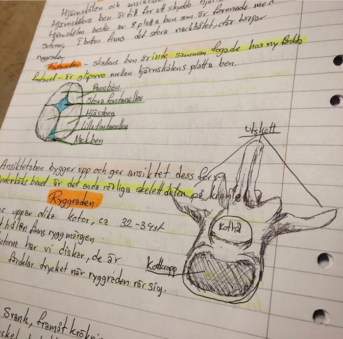 This Is My Artwork That I Never Really Showed Anyone Before