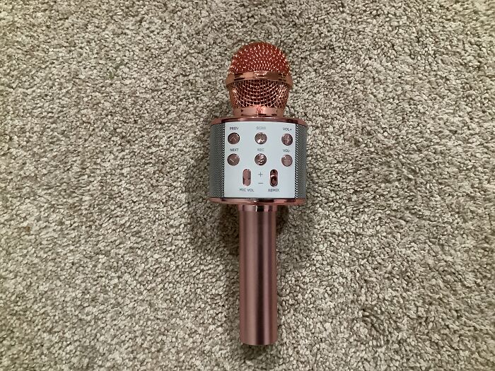 I Got This Because I Love To Sing