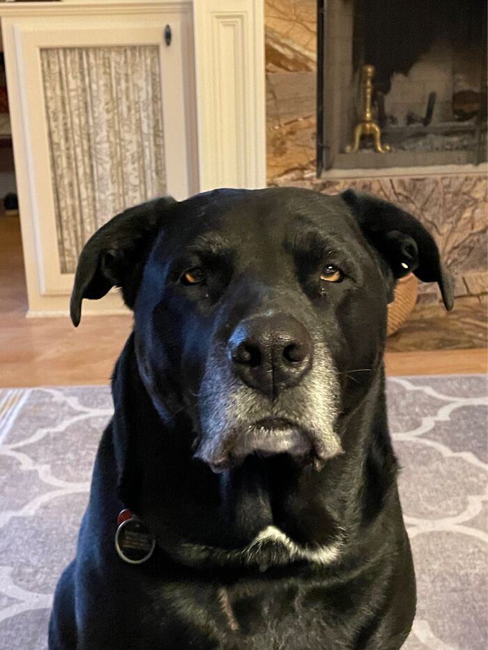 Really? Thats The Best You Can Do?