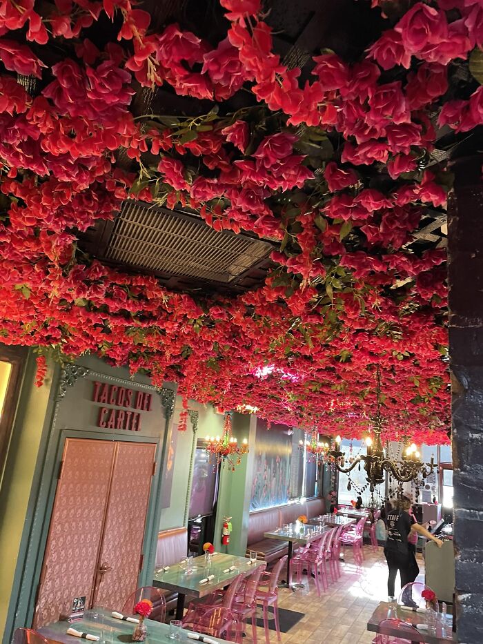 The Ceiling Of The Mexican Restaurant I Went To Yesterday. I’m Sure No One Is Attempting To Clean This, But That Just Makes It Worse. Thank Goodness We Ate Outside