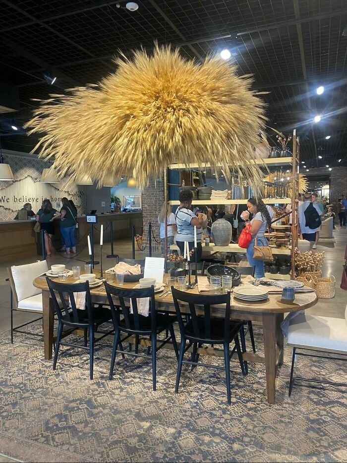 Anyone Got A Guess To How Many Spiders This Could Potentially House? Lol. Spotted At Magnolia