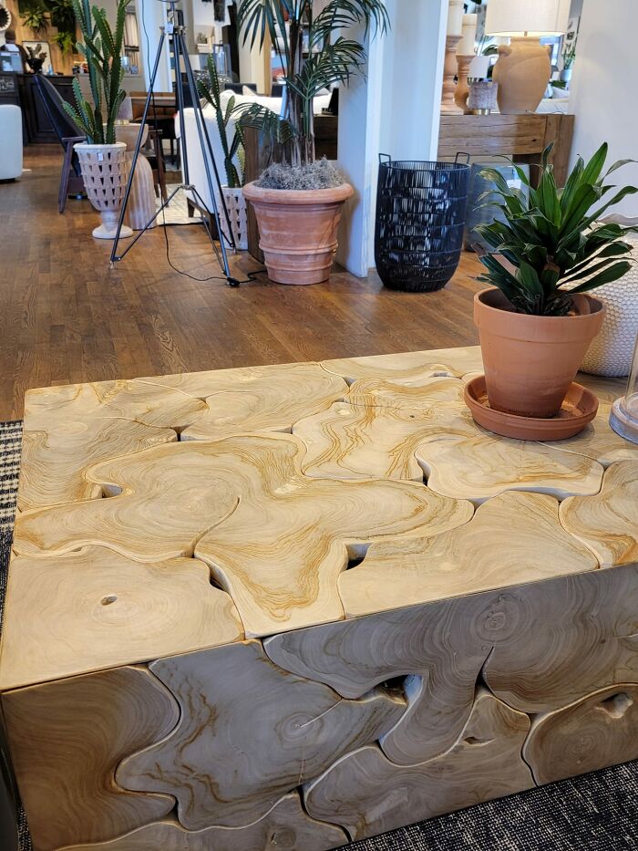 Is This An Animal Shelter? By Animal, I Mean Spiders