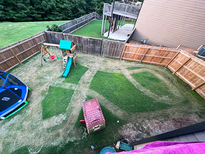 I Happily Obliged When My Wife Said She Would Mow The Grass