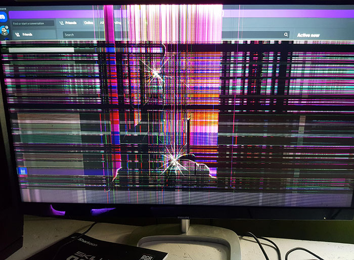 My Mother Destroyed My PC Screen Because My Dogs Woke Her Up