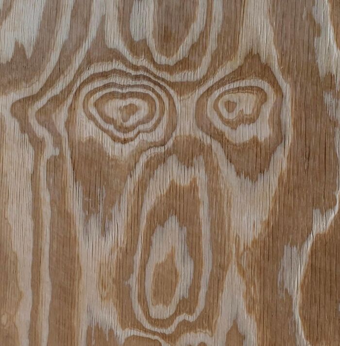 Interesting-Things-With-Faces