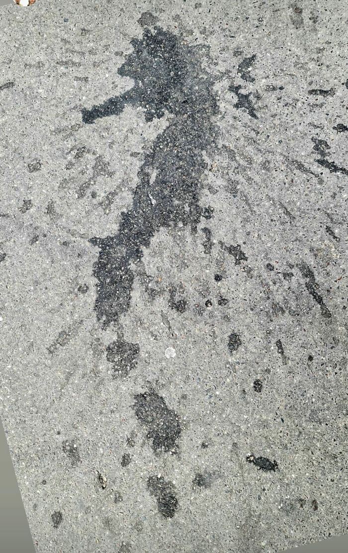 Interesting-Things-With-Faces