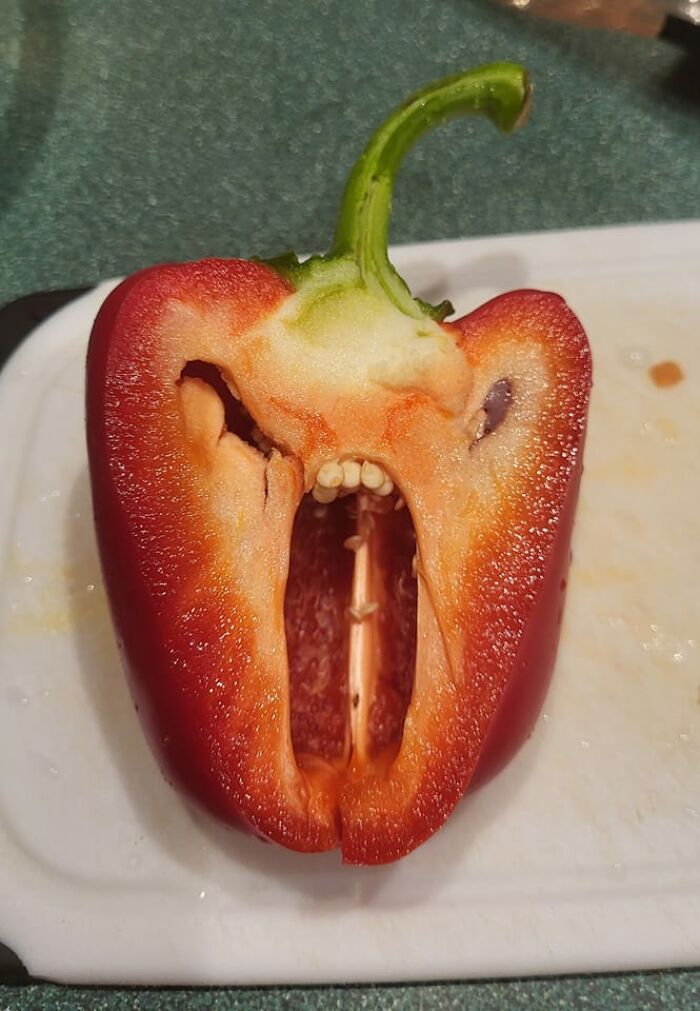 Interesting-Things-With-Faces