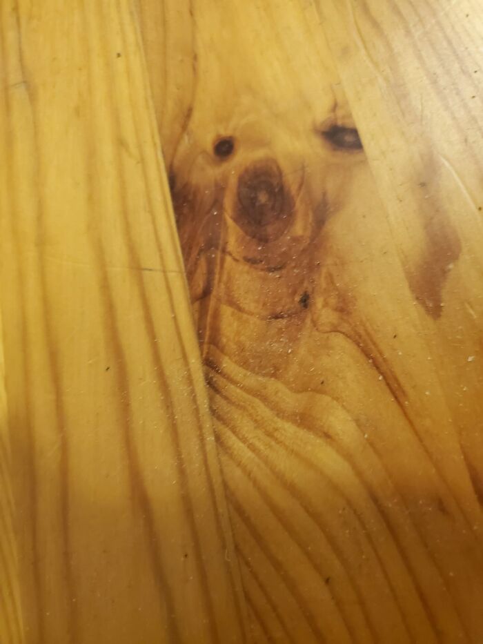 Interesting-Things-With-Faces