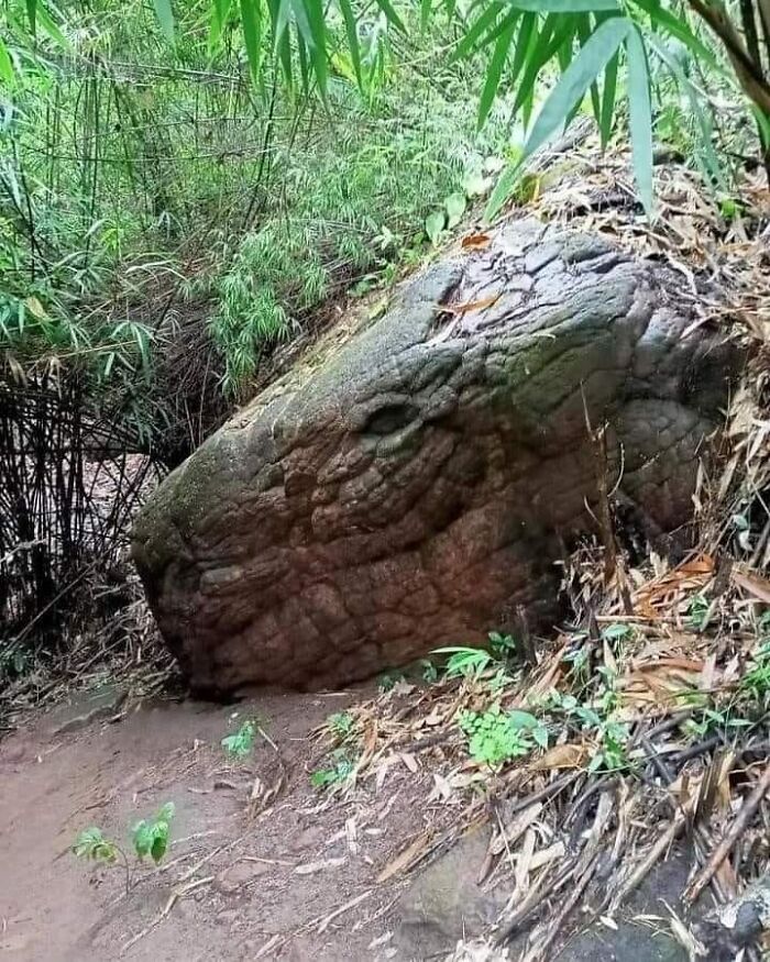 Interesting-Things-With-Faces