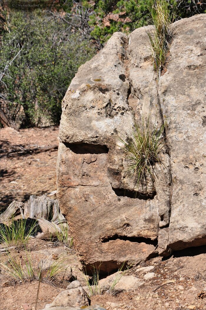 Interesting-Things-With-Faces