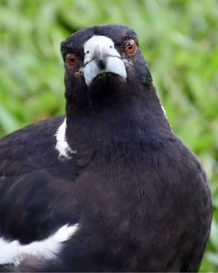 Interesting-Things-With-Faces