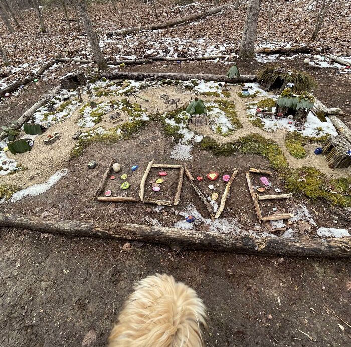 Found This Gnome Town On A Walk In The Woods Today