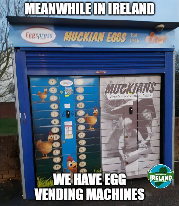 Egg vending machine in Ireland offering fresh free-range Muckian eggs, showcasing unique Irish culture and local food traditions.