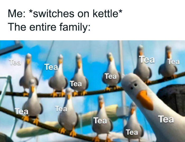 Seagulls perched together humorously labeled as tea, illustrating a unique cultural moment in Ireland's lifestyle and humor.